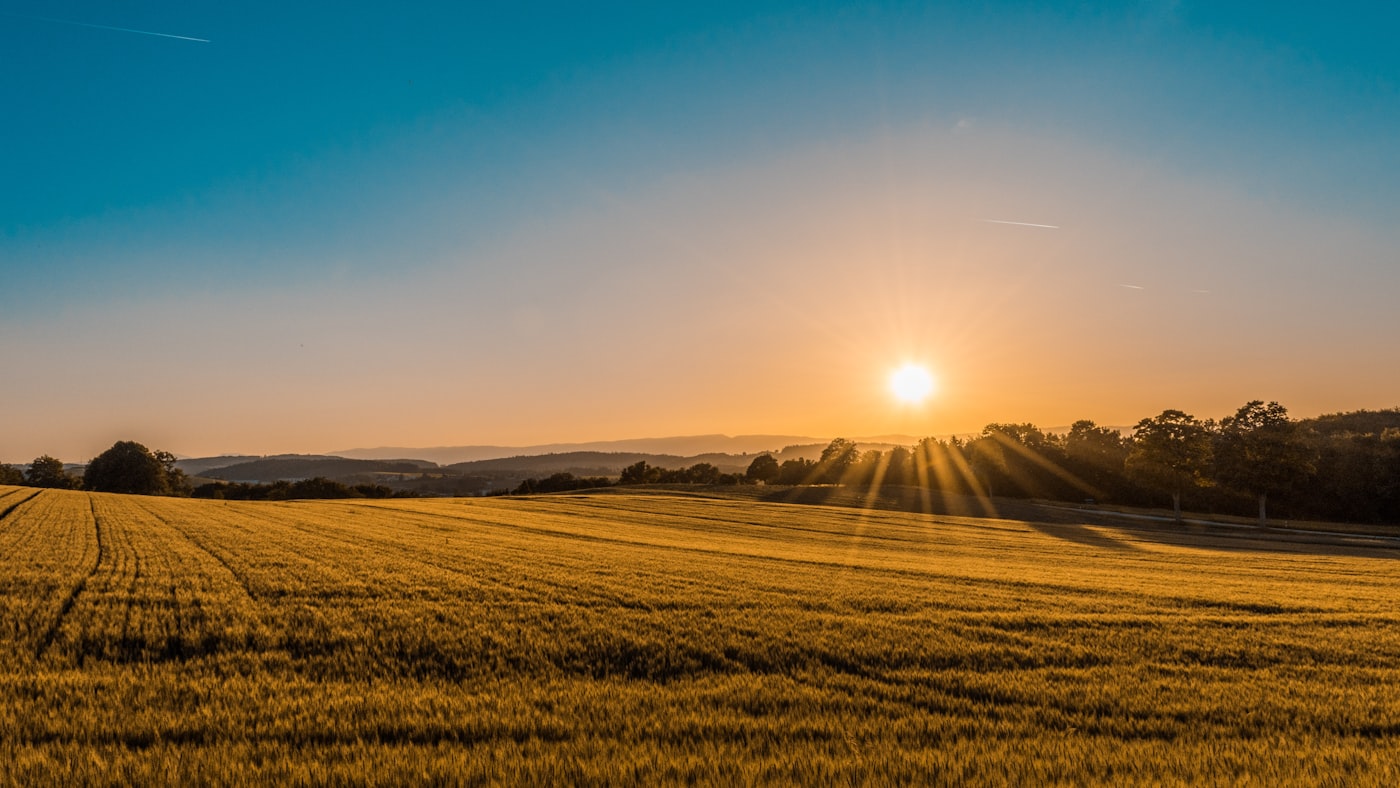Open Mississippi farmland at sunset