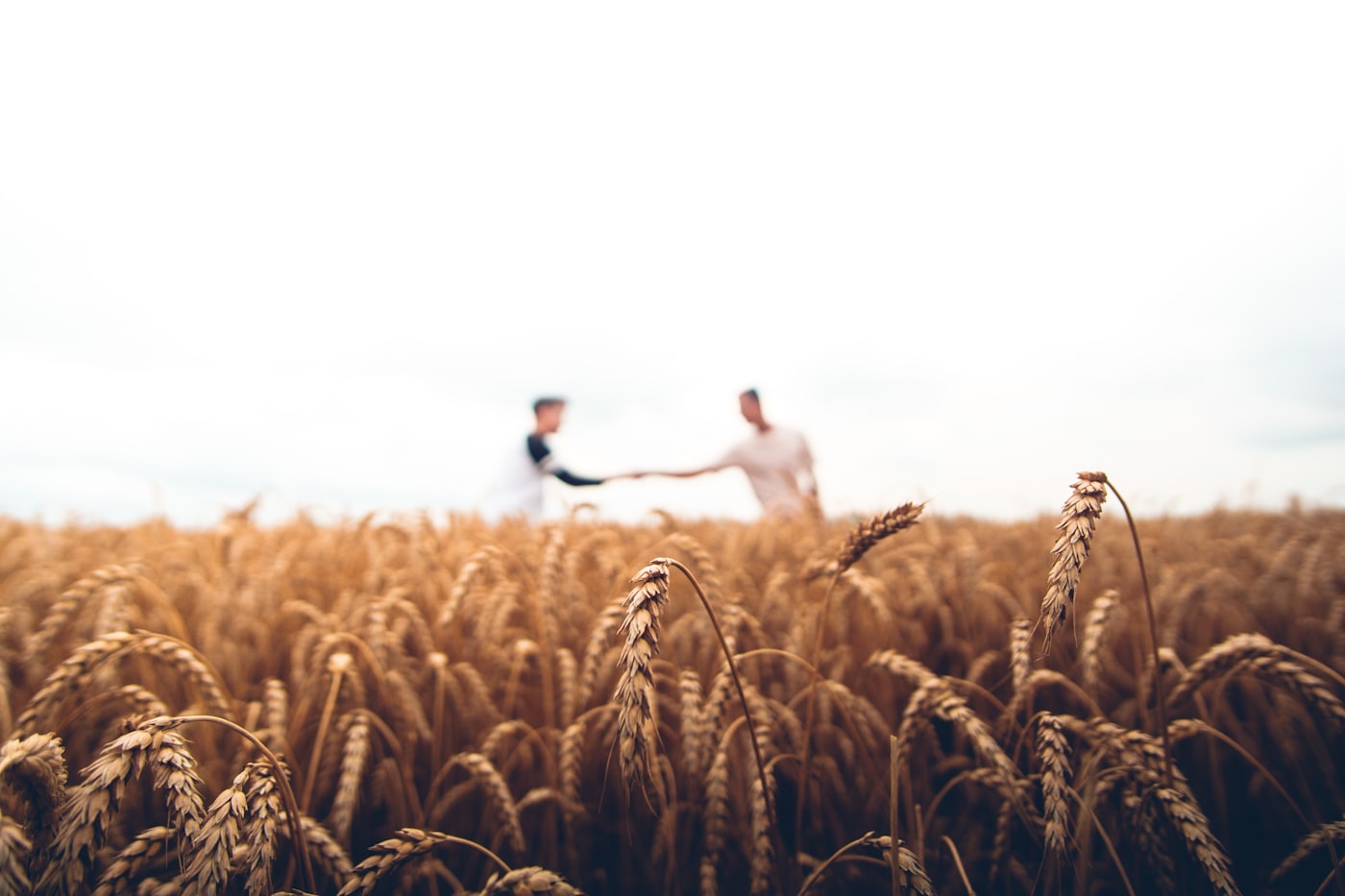 Two partners shaking hands in a Mississippi field